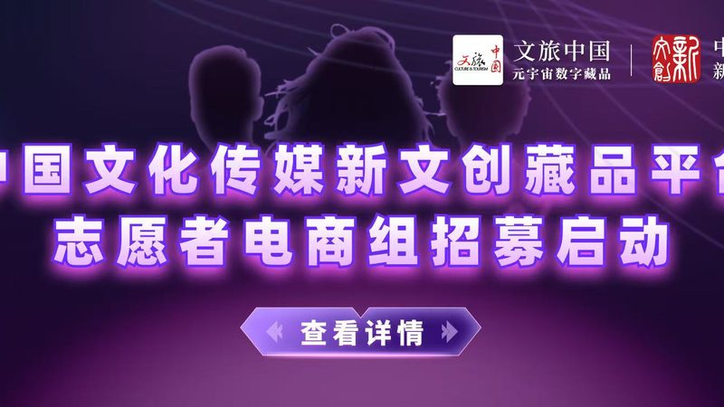 VI设计常见误区与注意事项解析**